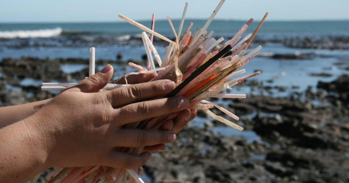 Plastic Straws in the Great lakes