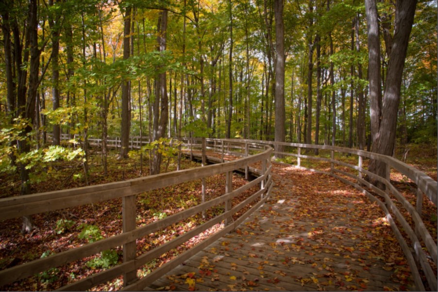 Trail at Island Lake Conservation Area