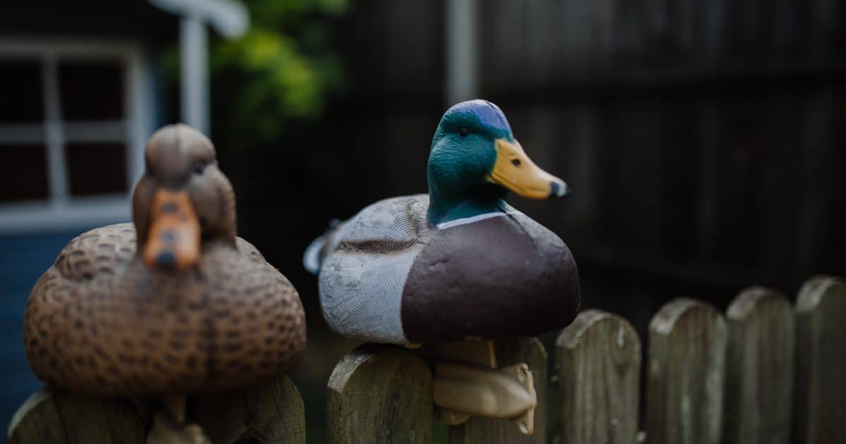 Duck figurines on a fence.