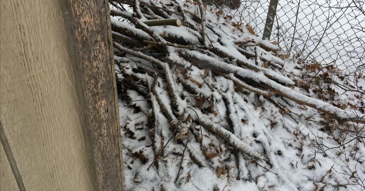 Stack of sticks covered in snow