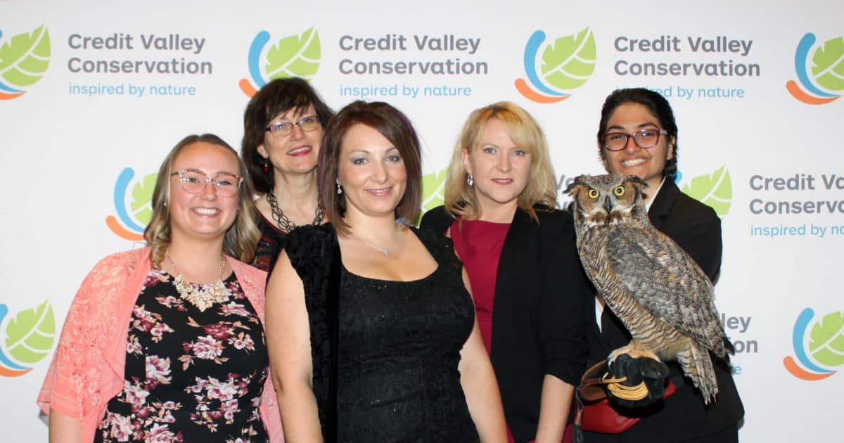 Guests enjoy the birds of prey on display at the 2019 Conservation Gala.