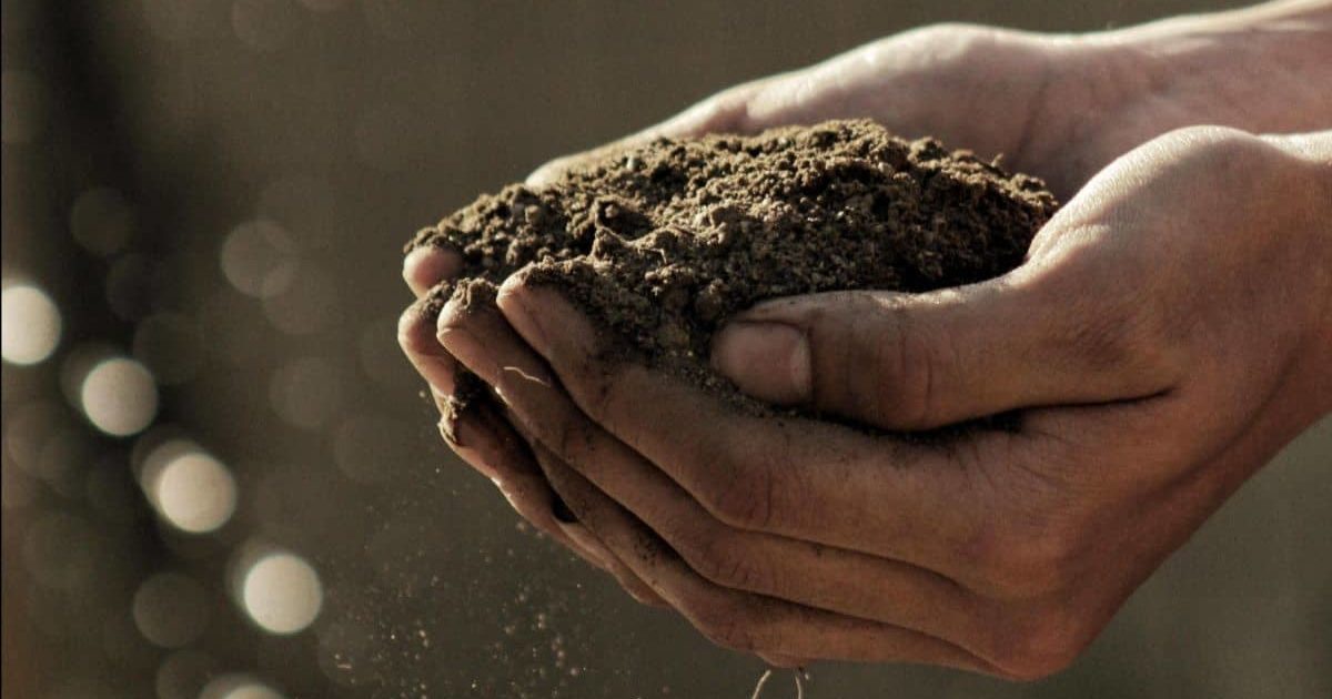 Person holding dirt in their hands