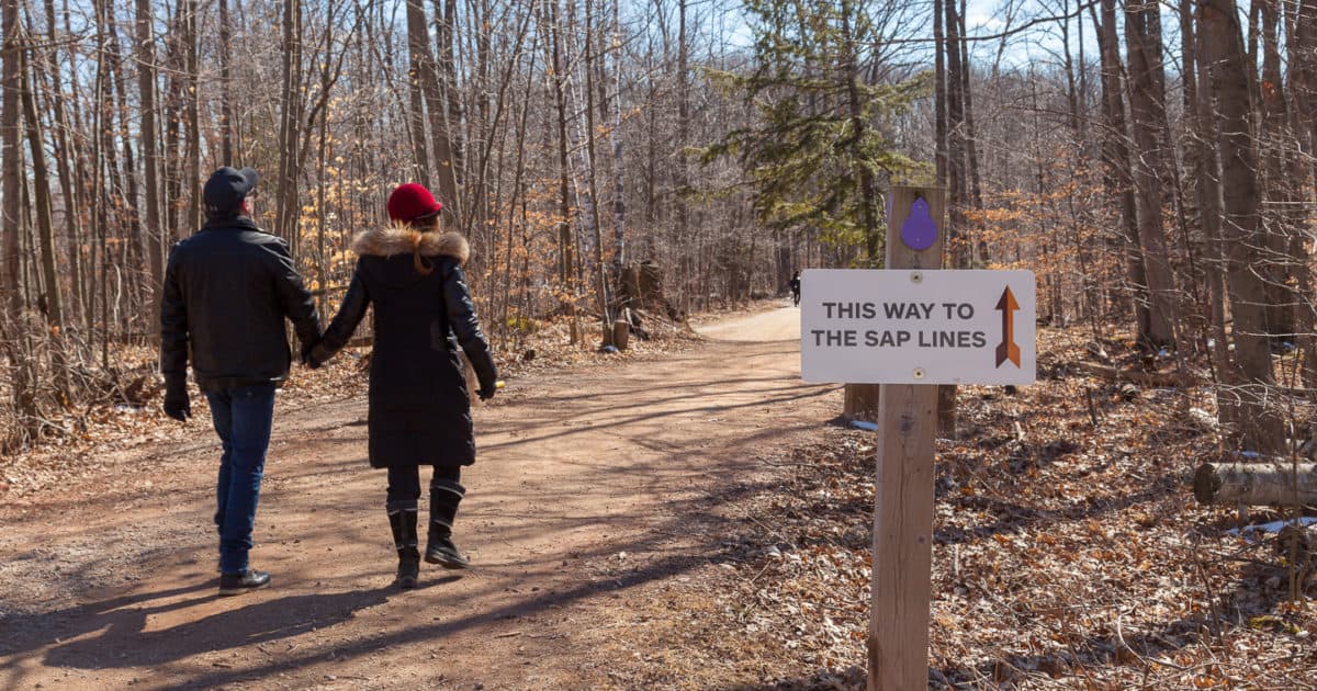 a couple walking down a trail in a forest with a sign saying this way to the sap line