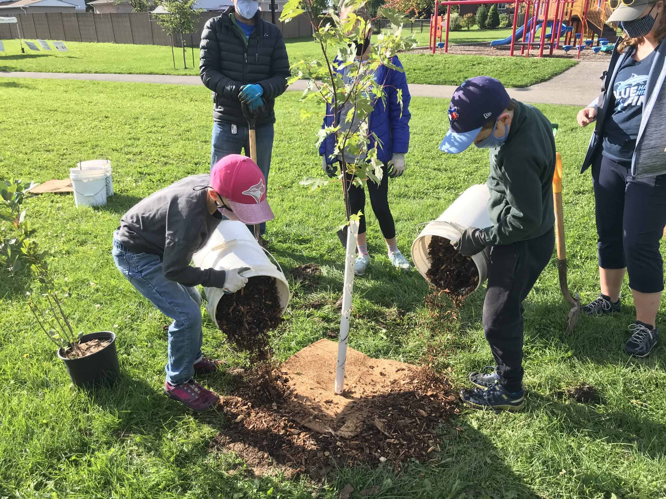 Children planting a tree, both pouring mulch at the base of the tree