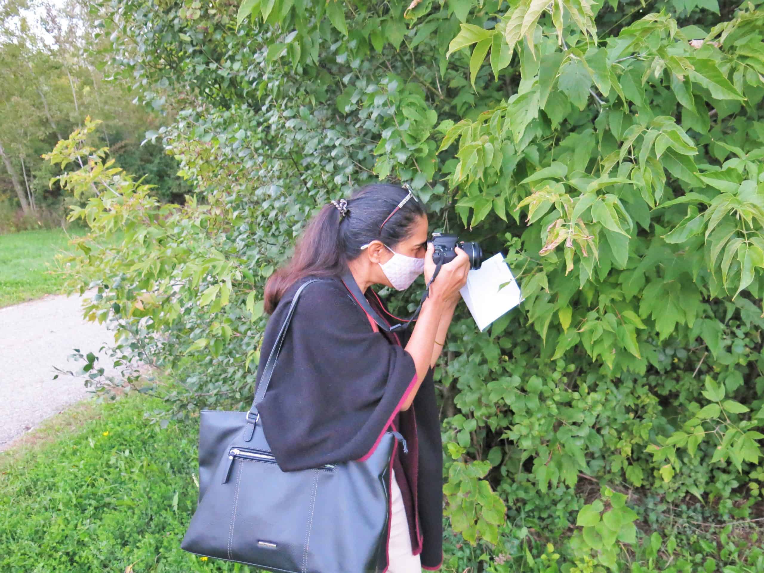 Person taking close up photo of leaf