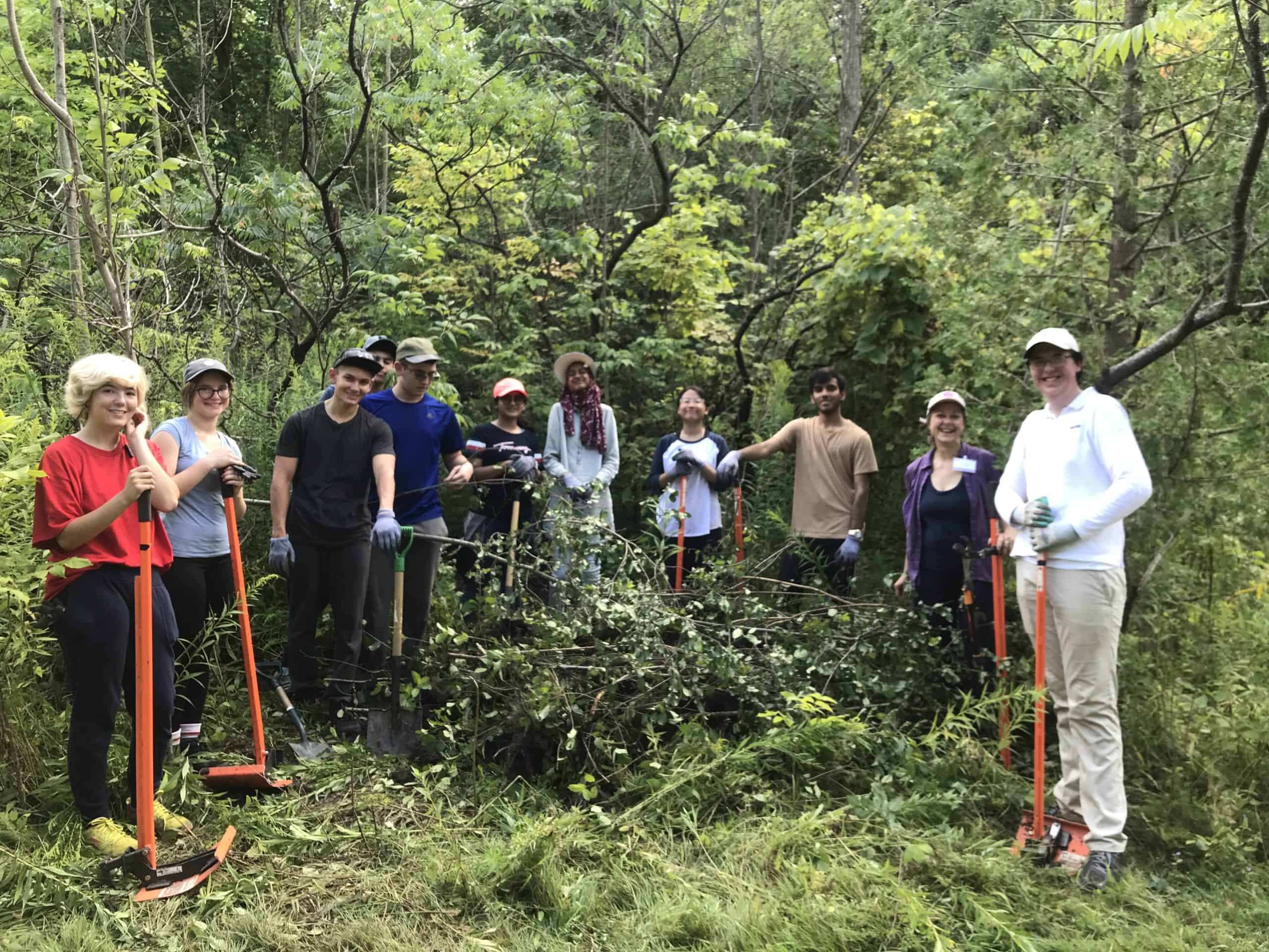 Group of people outside pulling invasive plants