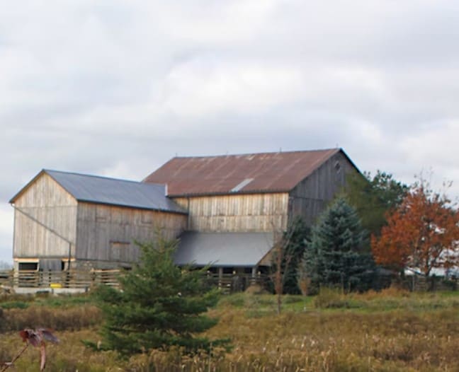 Barn with a naturalized field in the foreground.