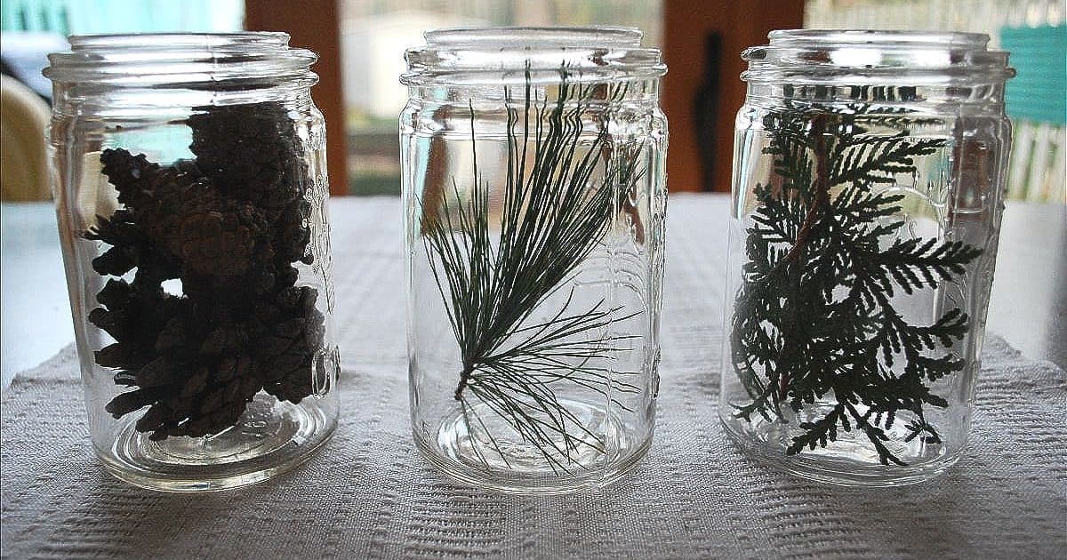 Three clear jars with different greenery in them